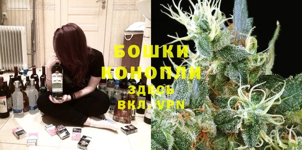 apvp Алзамай