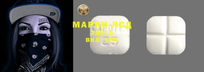 apvp Алзамай