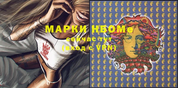 apvp Алзамай